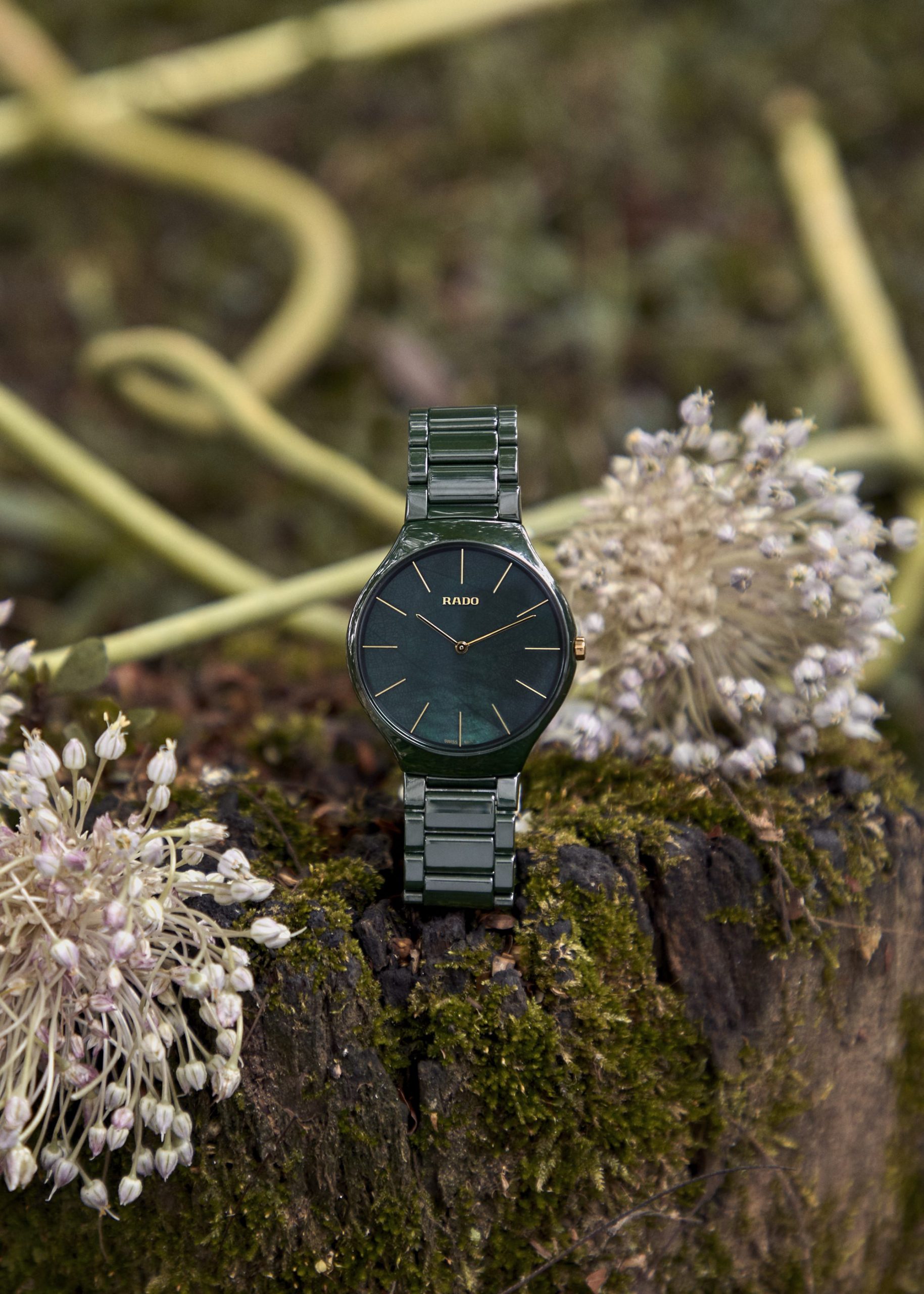 True Thinline - Image 5