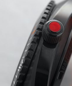 Alternative view of “Amphibia” 0256