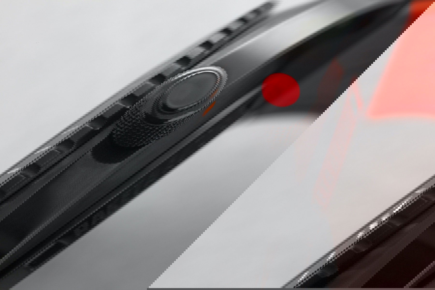 “Amphibia” 0256 - Image 2