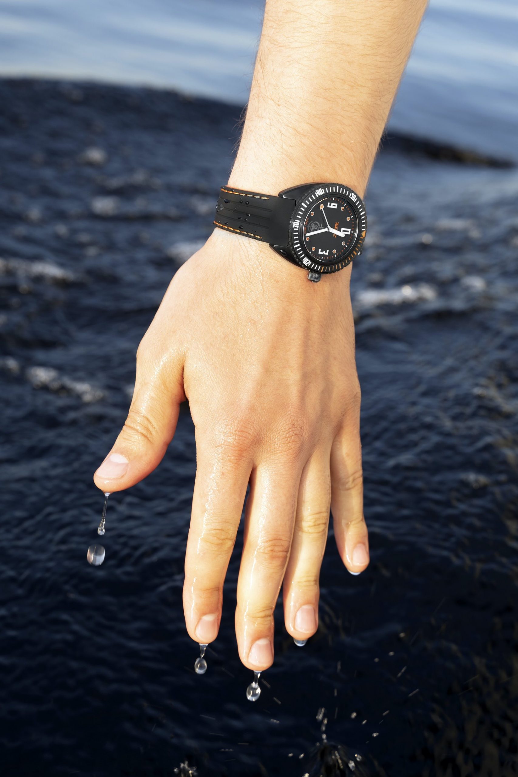 “Amphibia” 0256 - Image 7