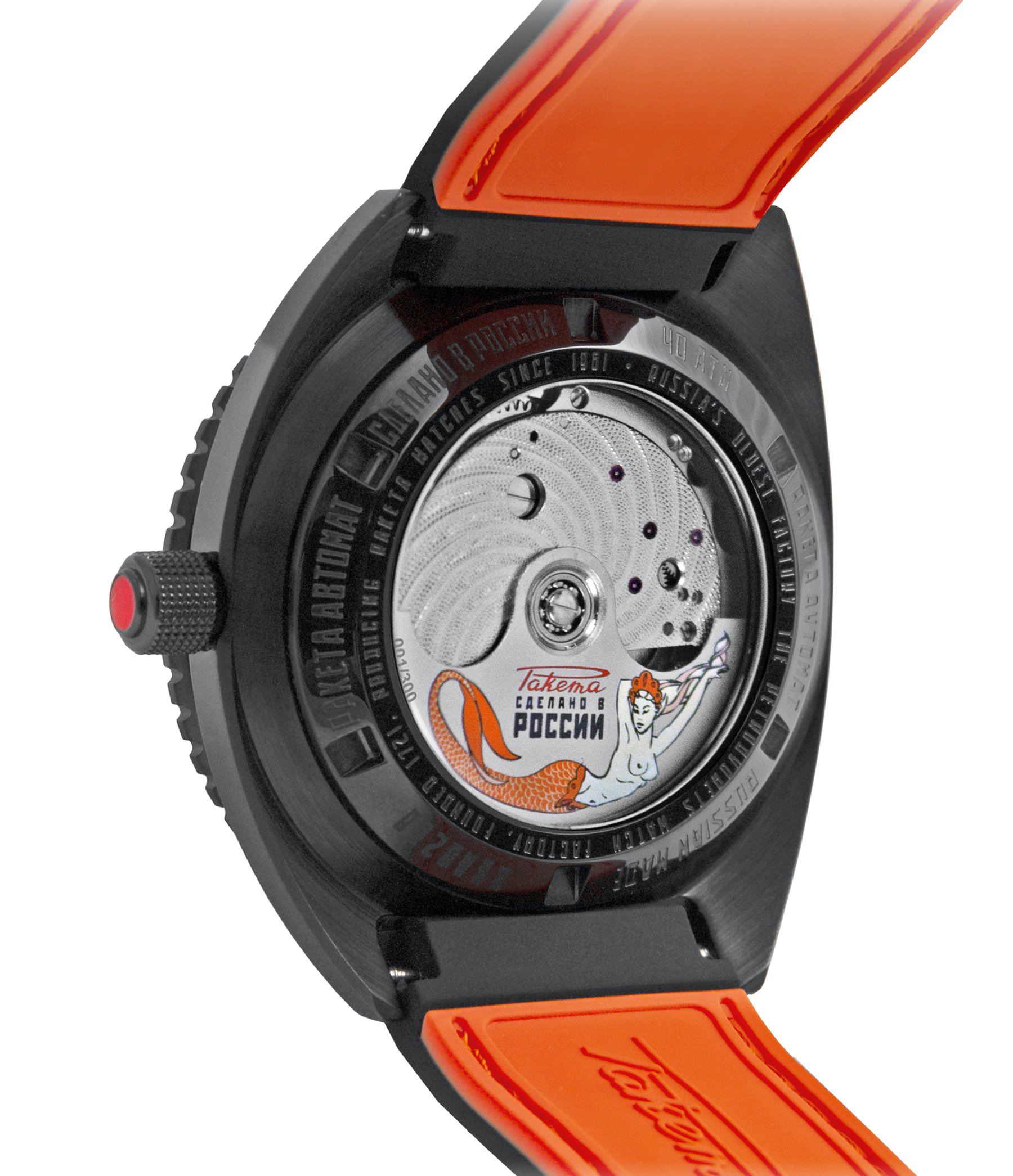 “Amphibia” 0256 - Image 9