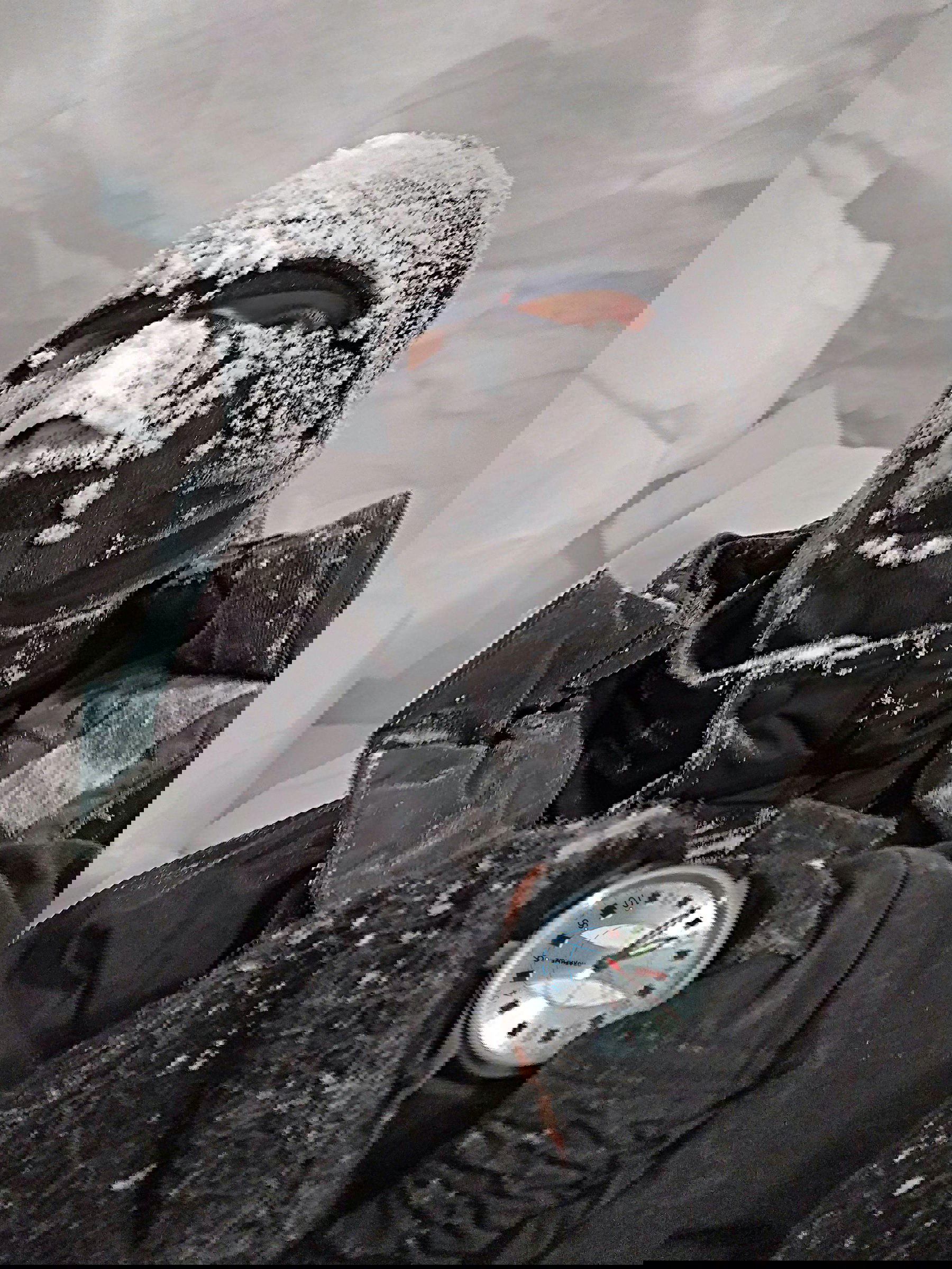 “Polar” 0258 - Image 7