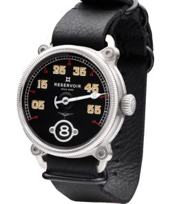 Alternative view of Black Sparrow