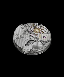 Alternative view of Flytrack Perpétuel Limited Edition