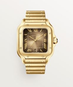 SANTOS DE CARTIER WATCH