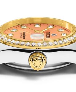 Alternative view of Cosmo