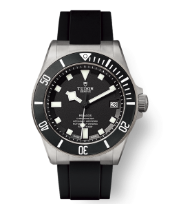 Alternative view of PELAGOS M25600TN-0001