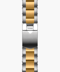 Alternative view of BLACK BAY CHRONO S&G M79363N-0001