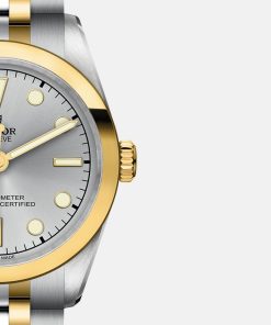 Alternative view of BLACK BAY ONE 31 S&G M79603-0002