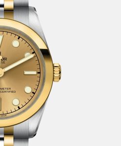 Alternative view of BLACK BAY ONE 31 S&G M79603-0005