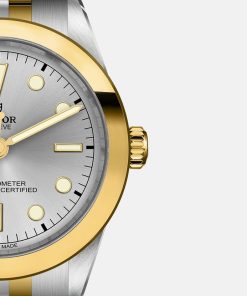 Alternative view of BLACK BAY ONE 39 S&G M79663-0002