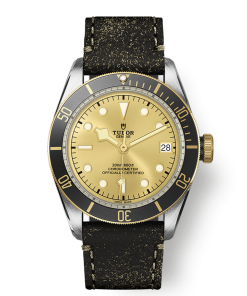 BLACK BAY S&G M79733N-0003