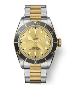 BLACK BAY S&G M79733N-0004