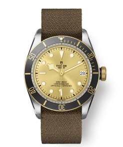 BLACK BAY S&G M79733N-0006