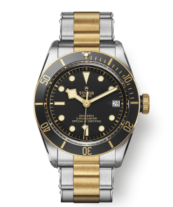 BLACK BAY S&G M79733N-0008