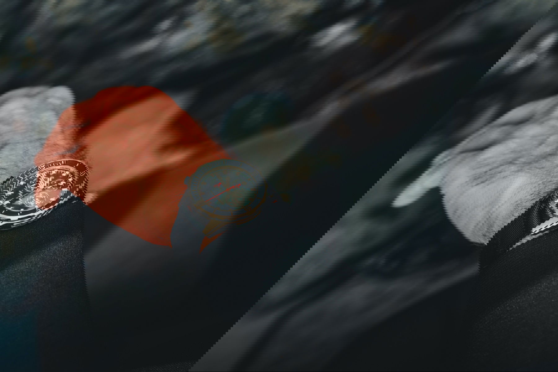 Diver Lemon Shark - Image 7