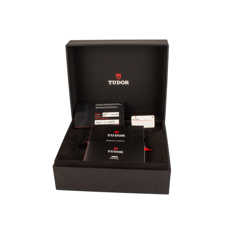 HandMade The Tudor Black Bay 39 Light Champagne Dial - Image 4